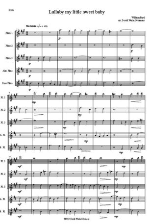 Lullaby my sweet little baby (3 flutes, 1 alto, 1 bass)