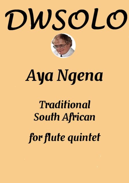 cover aya ngena flute quintet