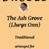 cover ash grove flute trio