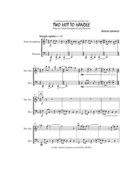 TOO HOT TO HANDLE - ten. sax/bassoon