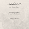 Andante for three flutes title