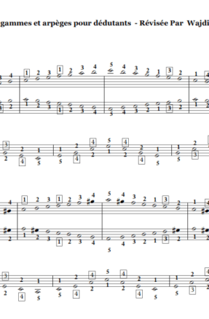 Piano Scales Fingering Volume 1