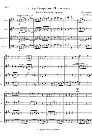 String Symphony #3 set for Woodwind Quartet