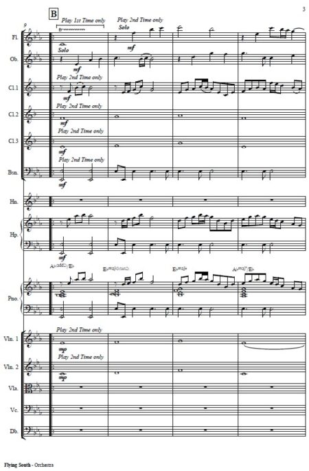 071 Flying South Small Orchestra SAMPLE page 03