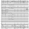 The Second Day - Orchestra - Image 5