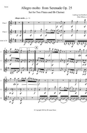 Beethoven Allegro Molto from Serenade Op. 25 – 2 Flutes and Clarinet