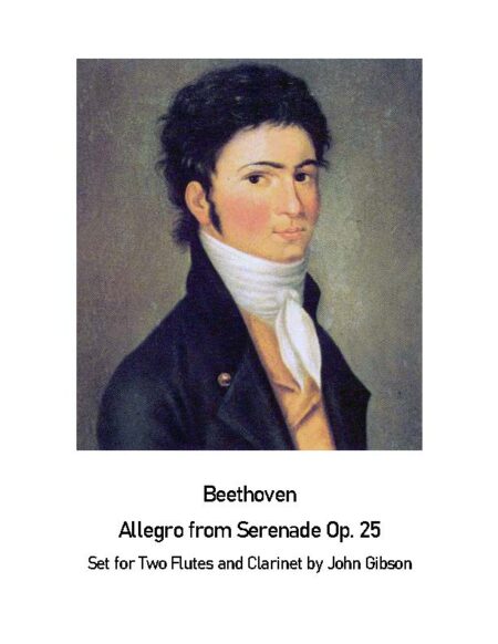 Beethoven allegro molto serenade 2fl cl cover