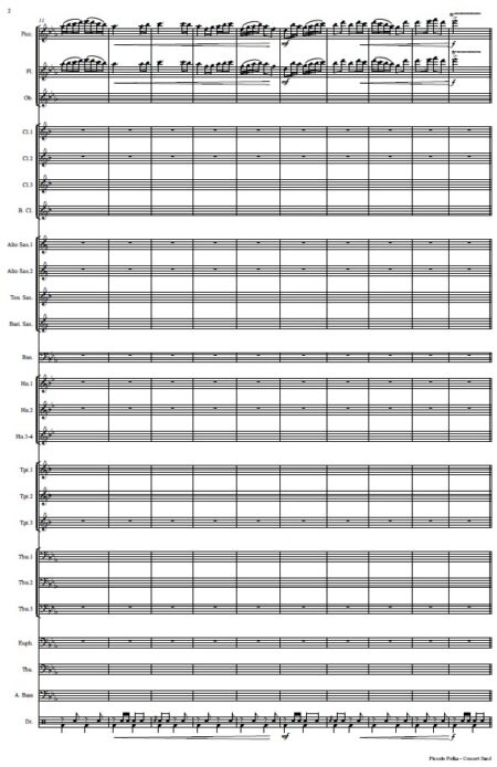 441 Piccolo Polka Concert Band SAMPLE page 02