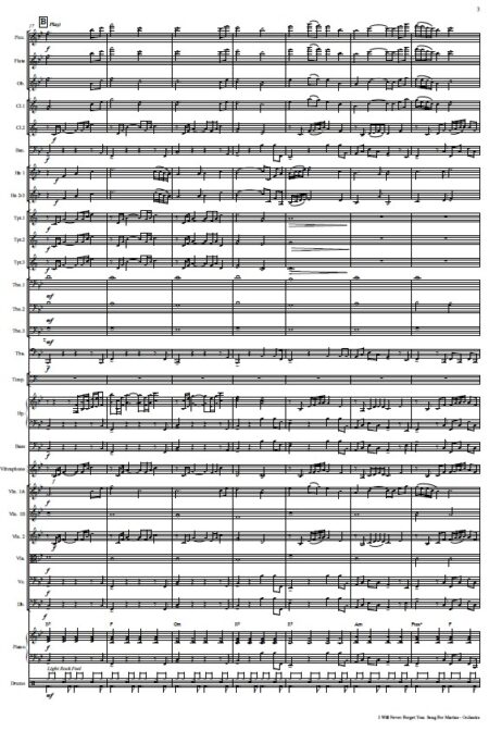 475 I Will Never Forget You Song for Marian Orchestra SAMPLE page 03