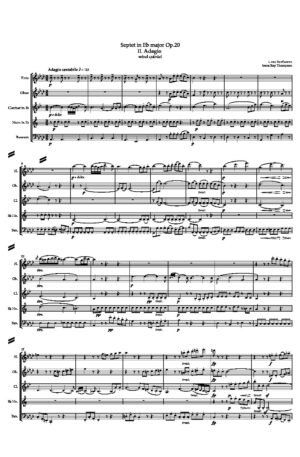 Beethoven: Septet in Eb major Op.20 II. Adagio – wind quintet
