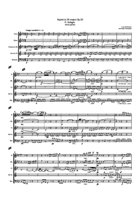 Adagio w5 unlocked Full Score 1 pdf
