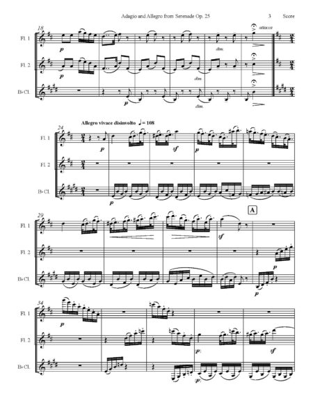 Beethoven Adagio and Allegro 2fl cl score pg