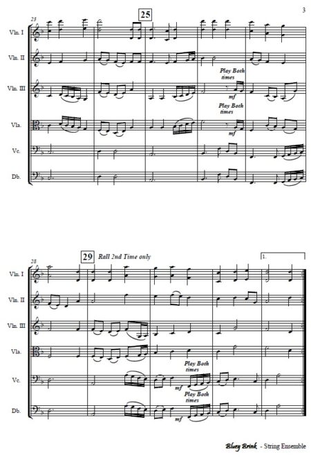029 Bluey Brink String Ensemble SAMPLE page 03