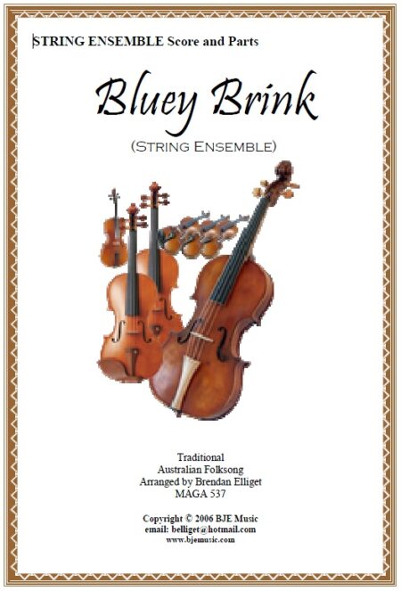 029 FC Bluey Brink String Ensemble