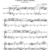 Carmen, Opera Medley, for Clarinet Duet
