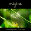 Origins - Unaccompanied Violin Solo cover