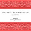 Here We Come A-Wassailing - clarinet trio