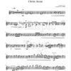 Christ Arose - Violin Solo with Piano Accompaniment - Image 4