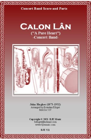 521 FC Calon Lan Concert Band