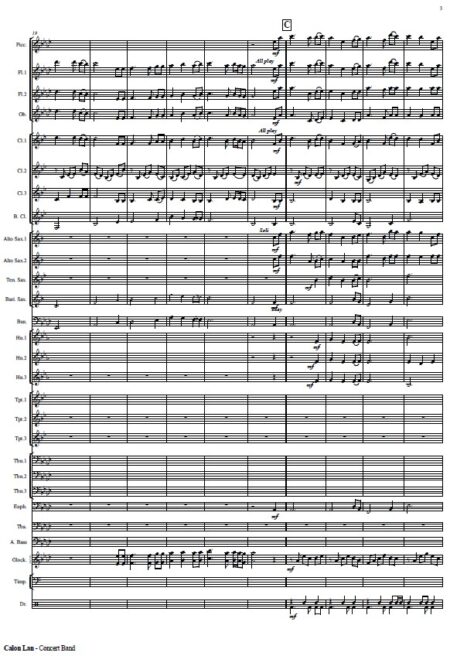 521 Calon Lan Concert Band SAMPLE page 003