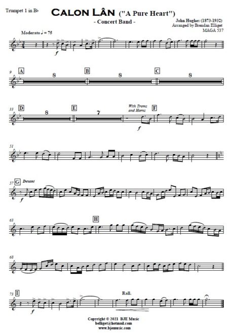 521 Calon Lan Concert Band SAMPLE page 007