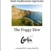 Foggy dew Webcover with border