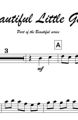 No.2 Beautiful Little Gem (Bassoon)