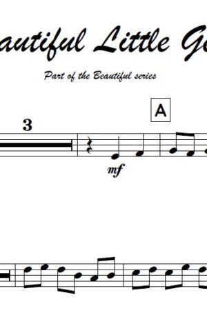 No.2 Beautiful Little Gem (Trumpet, Flugel or Cornet)