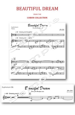 No.3 Beautiful Dream (Euphonium)