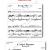 No.5 Beautiful Reflection (Trombone Bass Clef or Bb Treble Clef) - Image 2