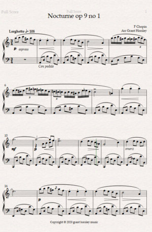 F Chopin “Nocturne op 9 no 1” Solo Piano Simplified Version