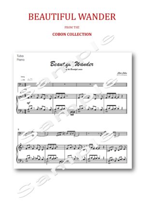 No.7 Beautiful Wander (Tuba, Eb Bass or Bb Bass)