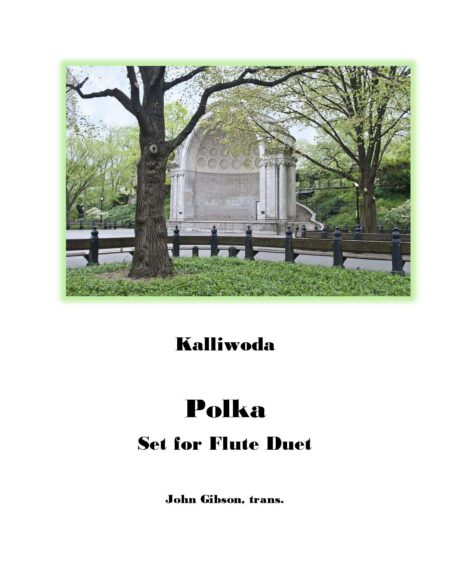 Kalliwoda polka fl 2 cover