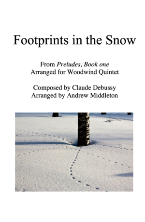 Footprints in the Snow arranged for Woodwind Quintet