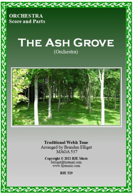 529 FC The Ash Grove Orchestra BJE Music
