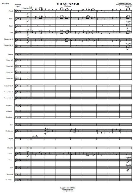 529 The Ash Grove Orchestra SAMPLE page 001.pdf