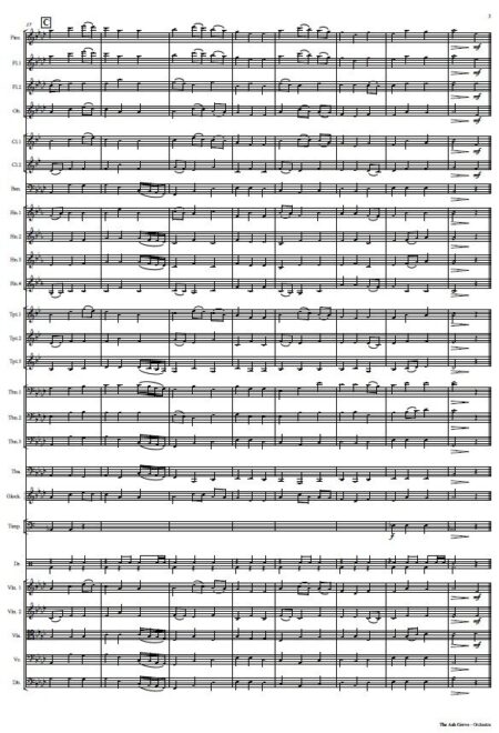 529 The Ash Grove Orchestra SAMPLE page 003.pdf