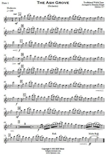 529 The Ash Grove Orchestra SAMPLE page 005.pdf