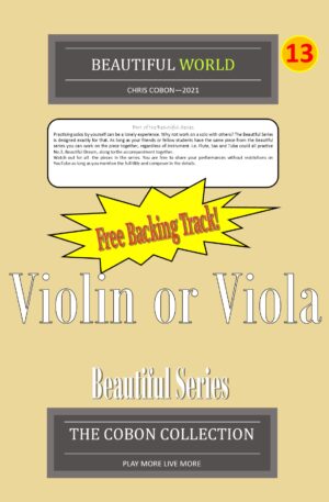 No.13 Beautiful World (Violin or Viola)