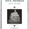 AVE MARIA GOUNOD in C voices orchestra cover