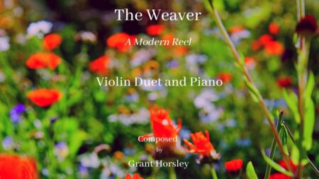 The weaver violin
