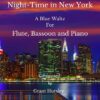 Night Time in New York trio