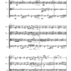 Camptown Races String Quartet