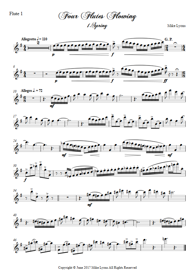 One Piece Ending 5 Sheet music for Flute (Solo)