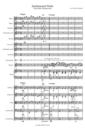 Tchaikovsky – Sentimental Waltz arr. for Solo Violin, Chamber Orchestra & Piano