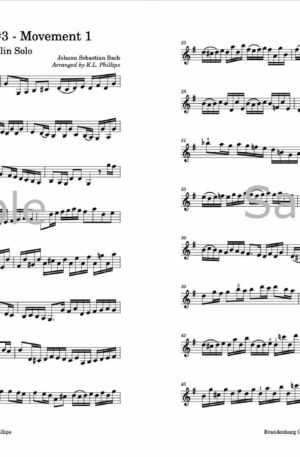Brandenburg Concerto No. 3, Mvt. 1 (Allegro) – Unaccompanied Violin Solo