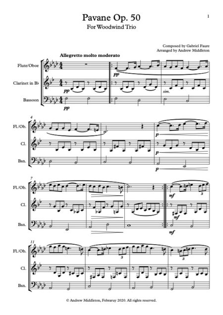 Pavane for flute clarinet and bsn Score and parts