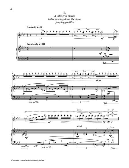 HAIKU Suite for Violin and Piano