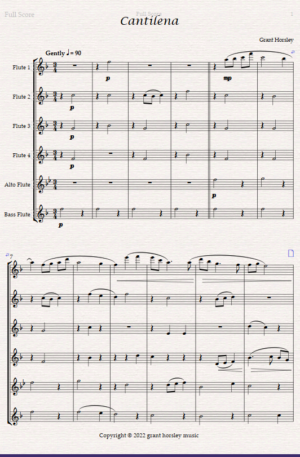 “Cantilena” A Modern Lullaby For Flute Choir