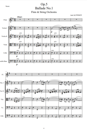 Ballade for Flute & String Orchestra by Anıl Altınsoy